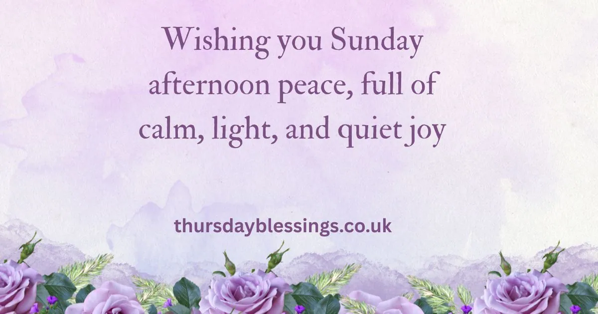 Good afternoon Sunday blessings image with warm wishes for peace, rest, and joyful moments.