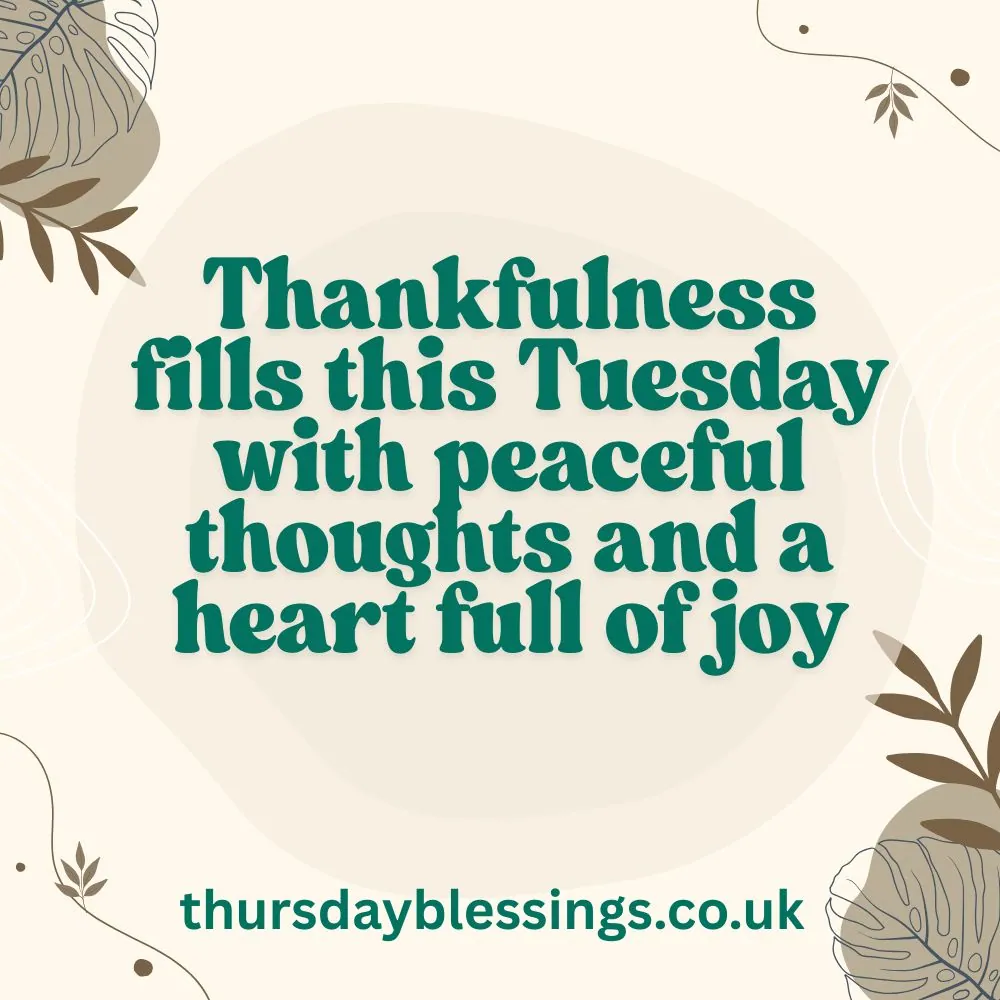 Hands folded in prayer at sunrise with “Thankful Tuesday Blessings” text for grateful vibes.

